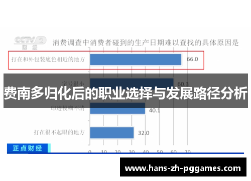 费南多归化后的职业选择与发展路径分析