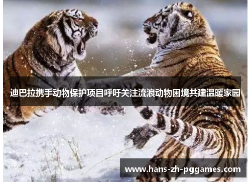 迪巴拉携手动物保护项目呼吁关注流浪动物困境共建温暖家园